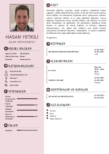 Havacılık Ve Uzay Uçak Mühendisi Cv Örnekleri cv indir